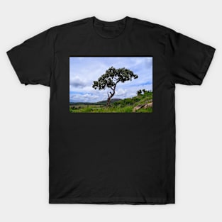 African Tree T-Shirt